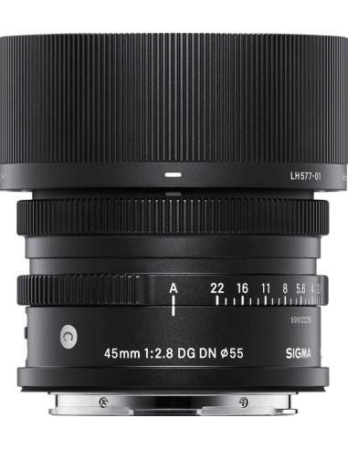 fP + AF 45mm f / 2.8 (c) DG DN